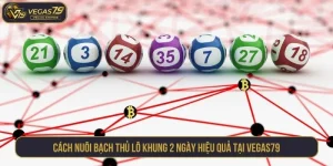 Bạch thủ lô khung 2 ngày