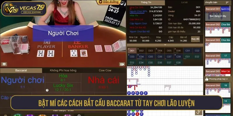 Bật mí các cách bắt cầu baccarat từ tay chơi lão luyện