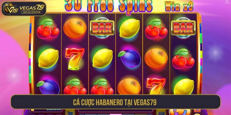 Cá cược Habanero tại Vegas79