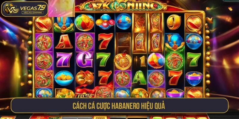 Cách cá cược Habanero hiệu quả