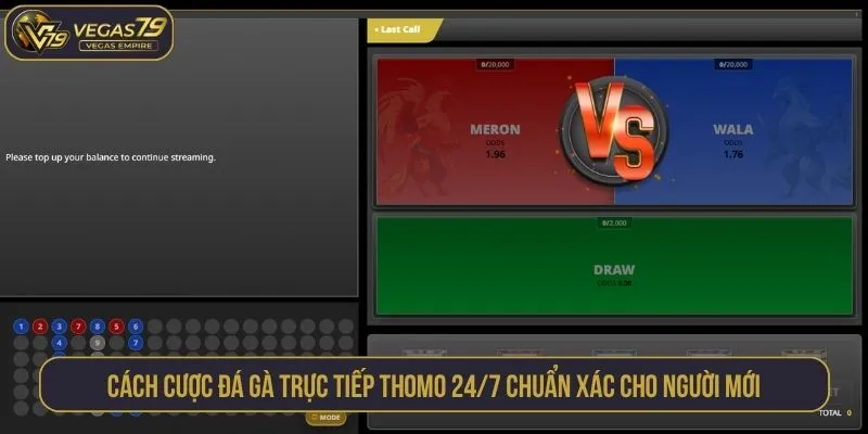 Cách cược đá gà trực tiếp Thomo 24/7 chuẩn xác cho người mới