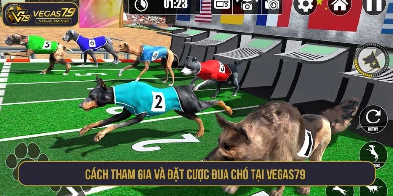 Cách tham gia và đặt cược đua chó tại Vegas79