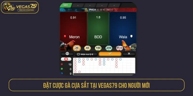 Đặt cược gà cựa sắt tại VEGAS79 cho người mới