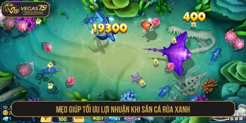 Mẹo giúp tối ưu lợi nhuận khi săn cá Rùa Xanh