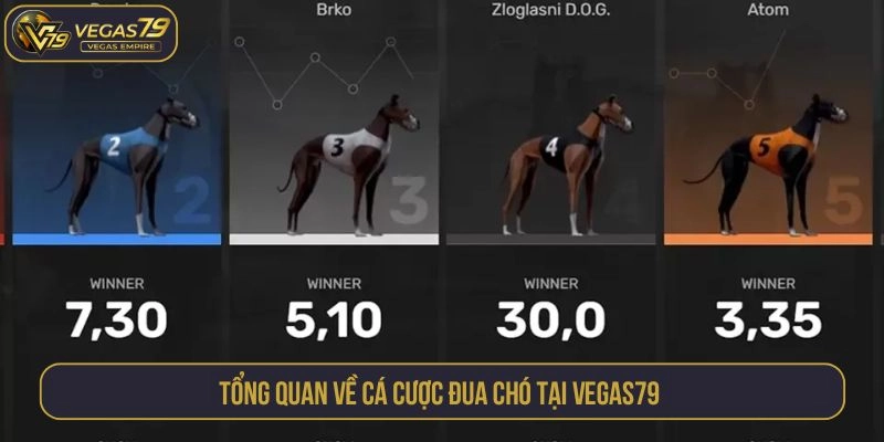 Tổng quan về cá cược đua chó tại Vegas79