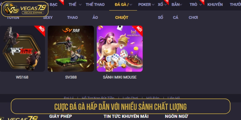 Cá cược các trận đấu đá gà VEGAS79 hấp dẫn